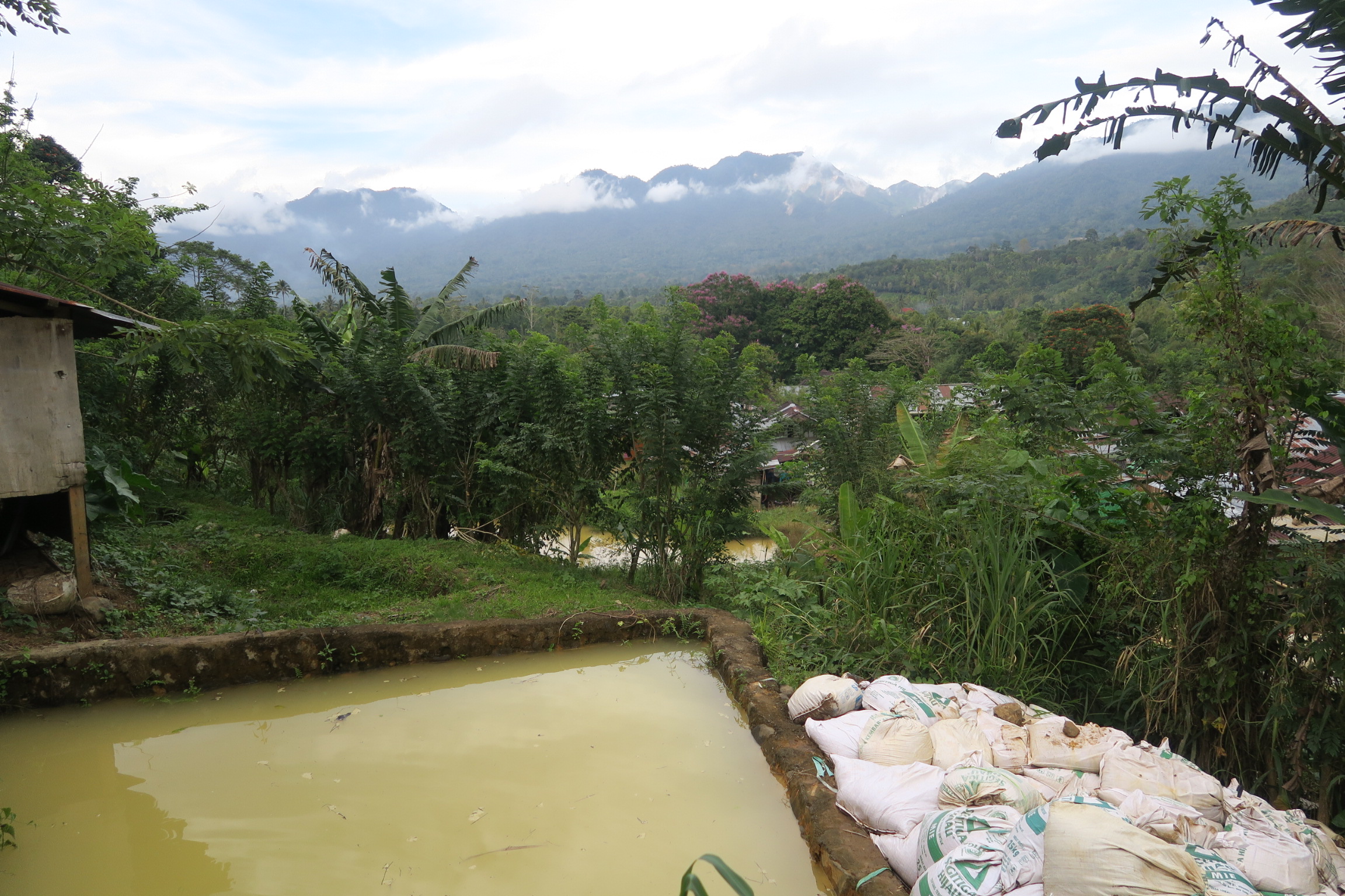 tailings Indo