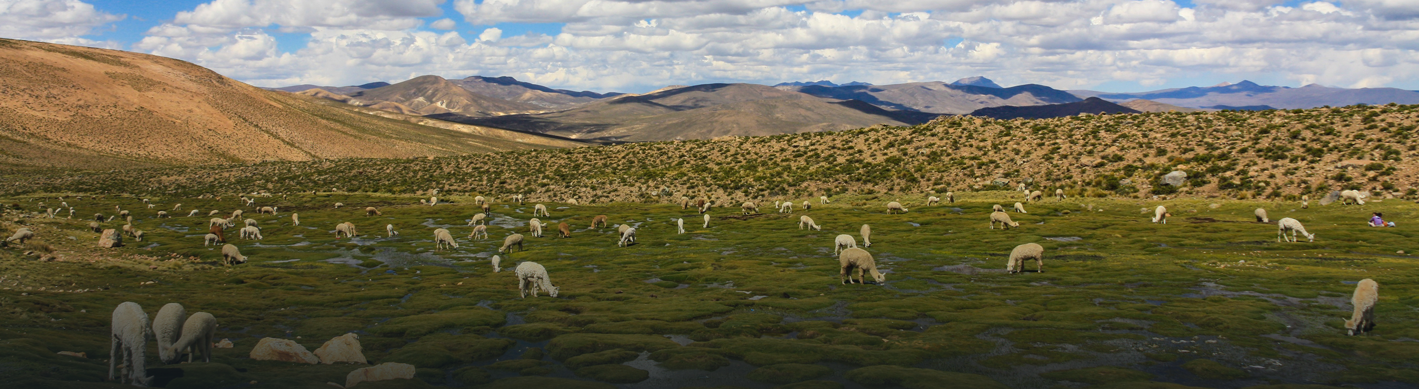 Peru landscape