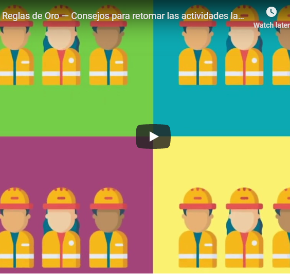 Screenshot of Reglas de Oro Video 2