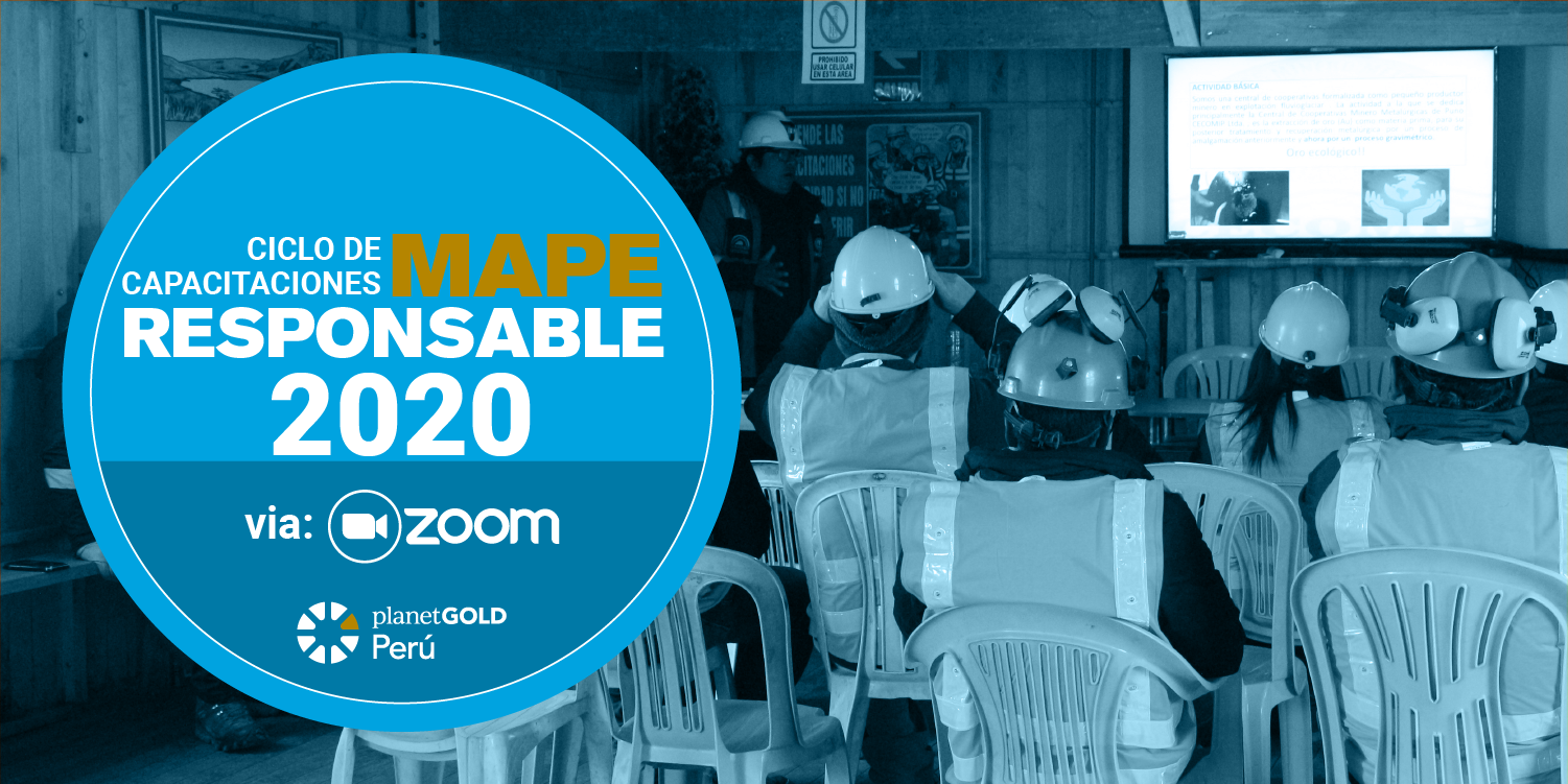 ciclo MAPE responsable 2020 Perú