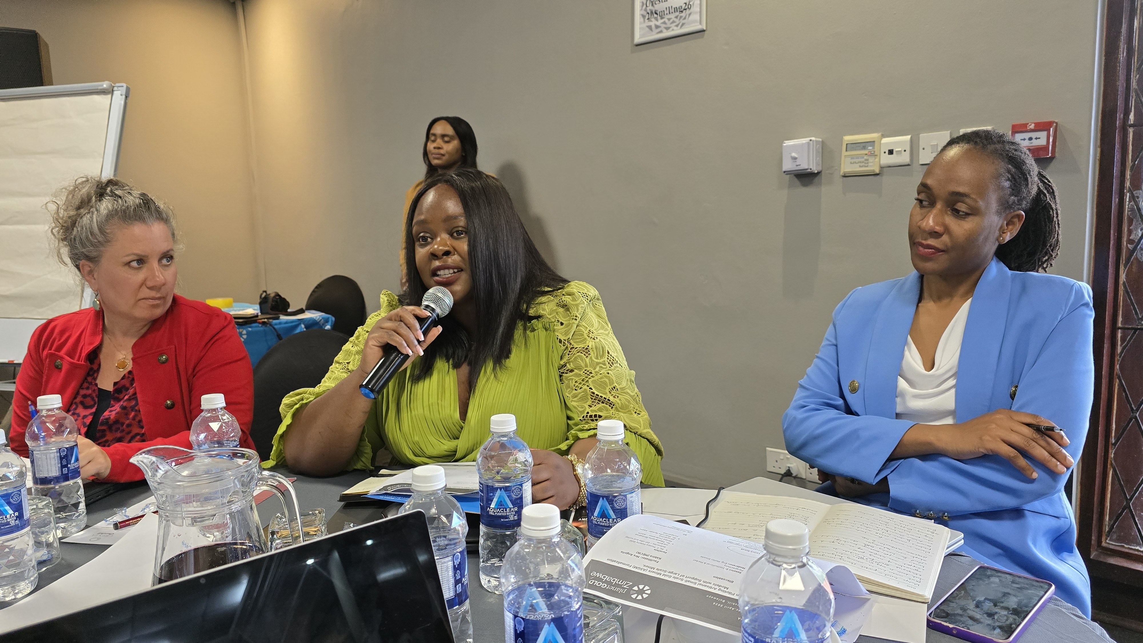 planetGOLD Zimbabwe Project Manager, Nyaradzo Mutonhori speaking at the Formalization Workshop 2026
