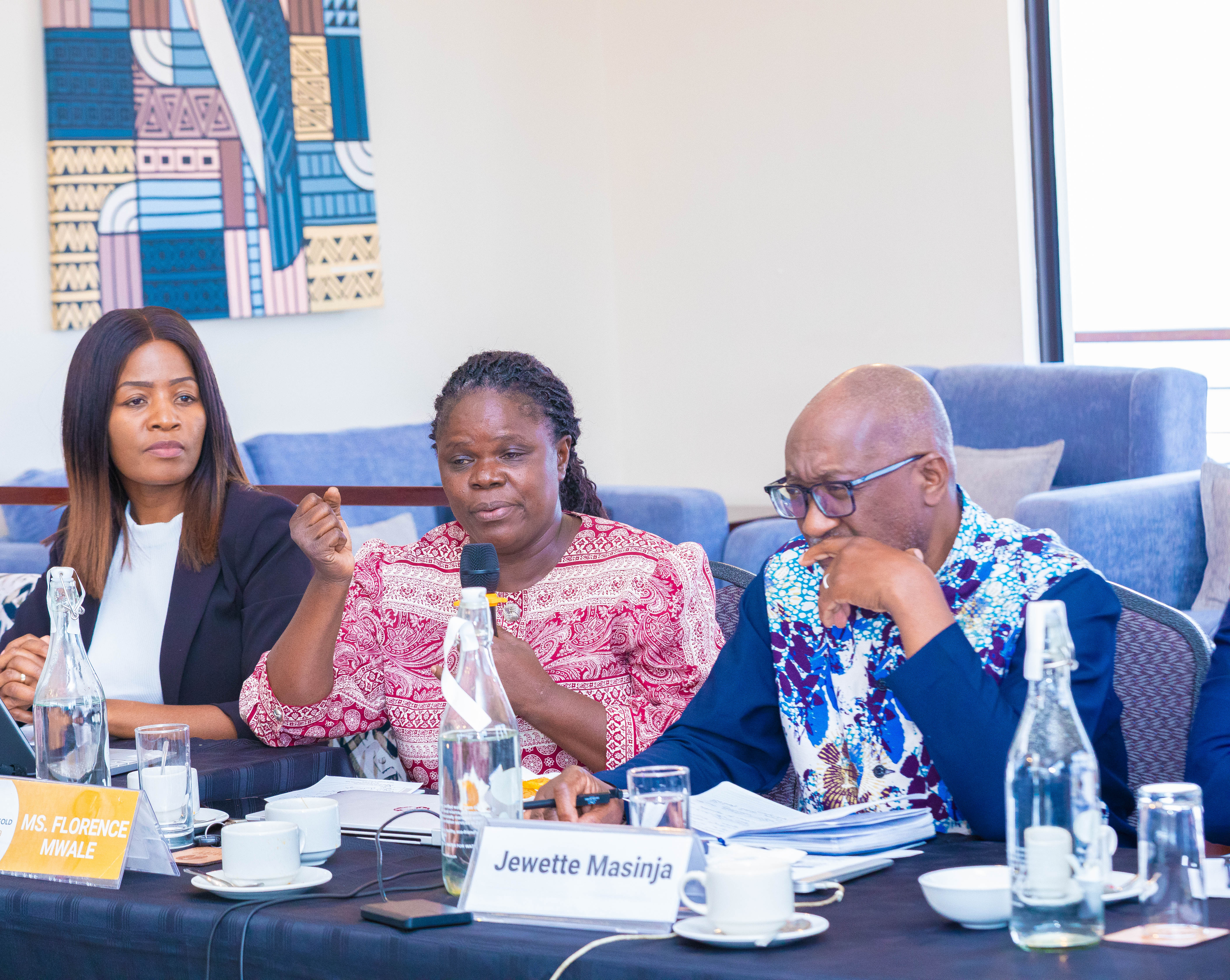 Ms. Florence Mwale raises concerns about the impact of mining activities on local water sources.