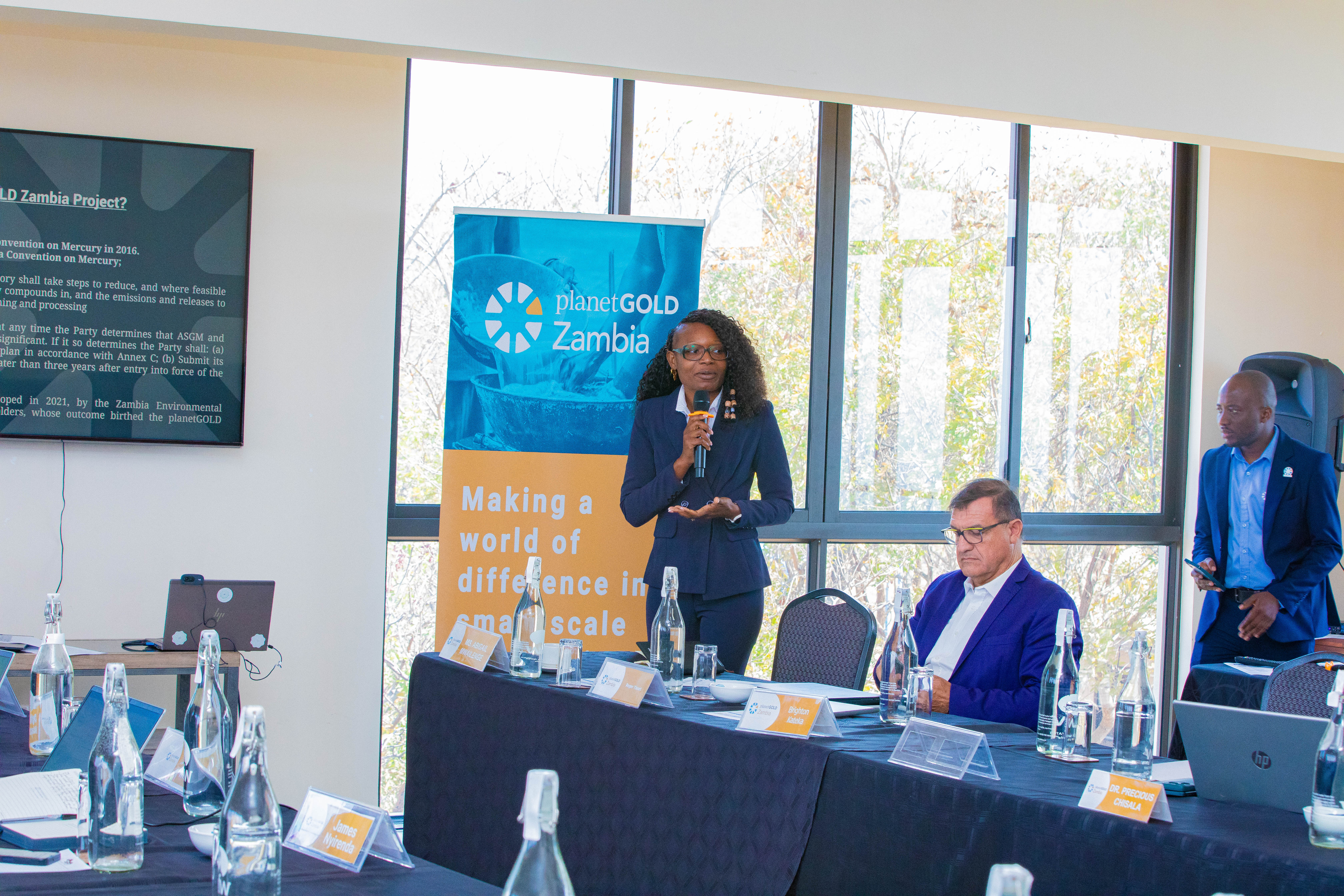 National Project Manager Ms. Abigail Mwailenge presents proposals on stakeholder inclusion and project coordination structures.