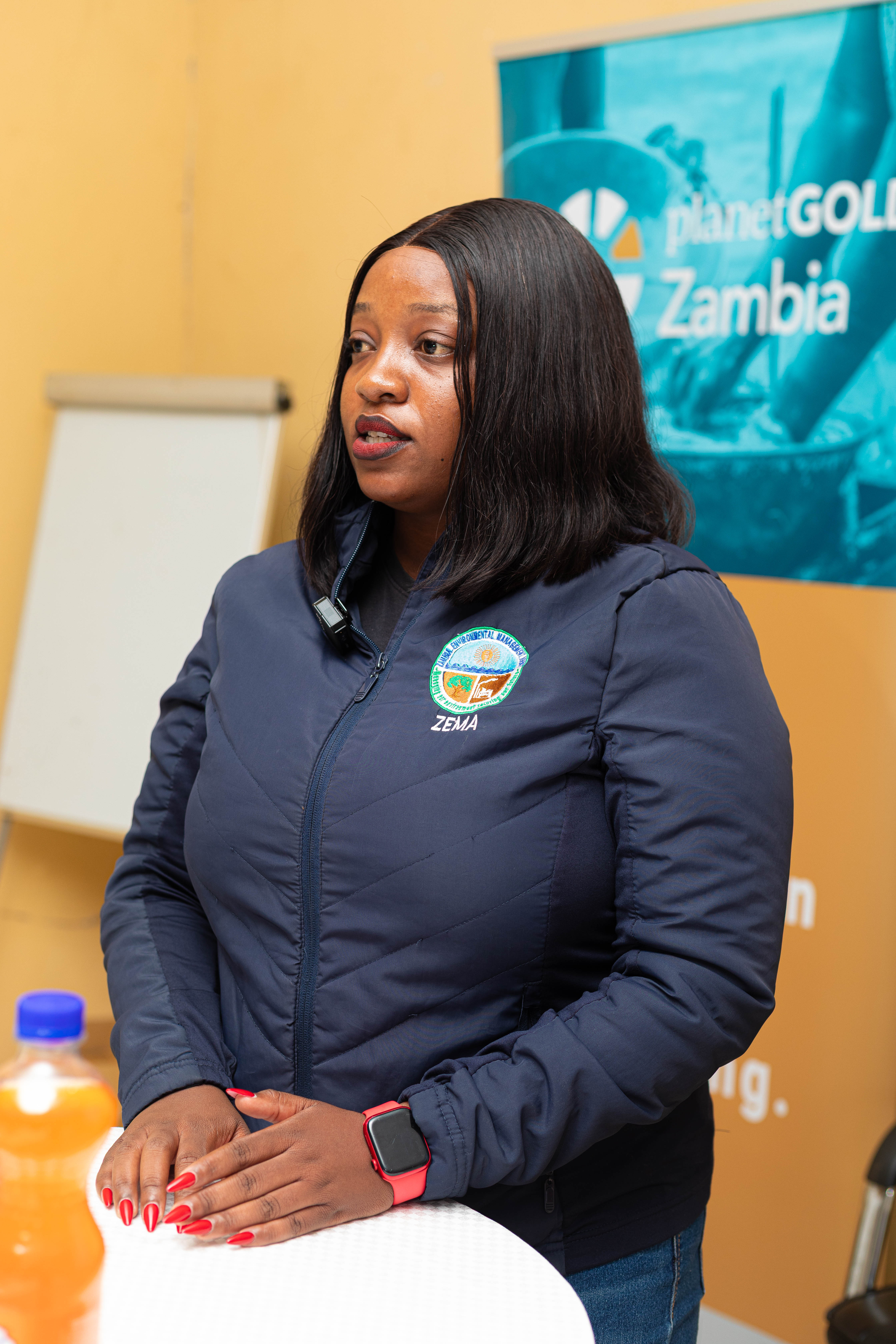Ms. Nanyinze Nakaundi delivering a presentation on the Environmental Impact Assessment (EIA) process in the ASGM sector