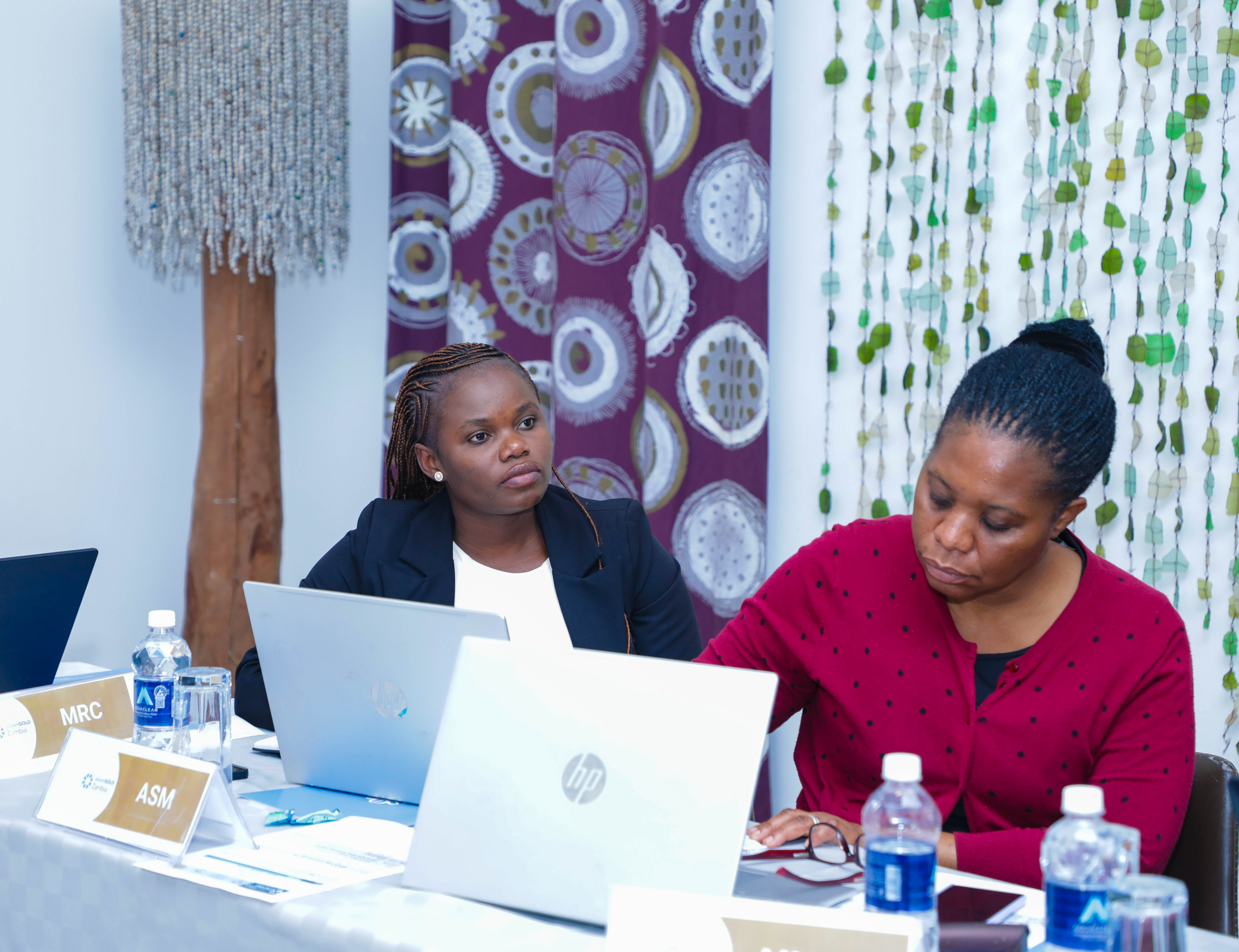Members of the Financial Management Committee during the 6 October 2026 meeting.