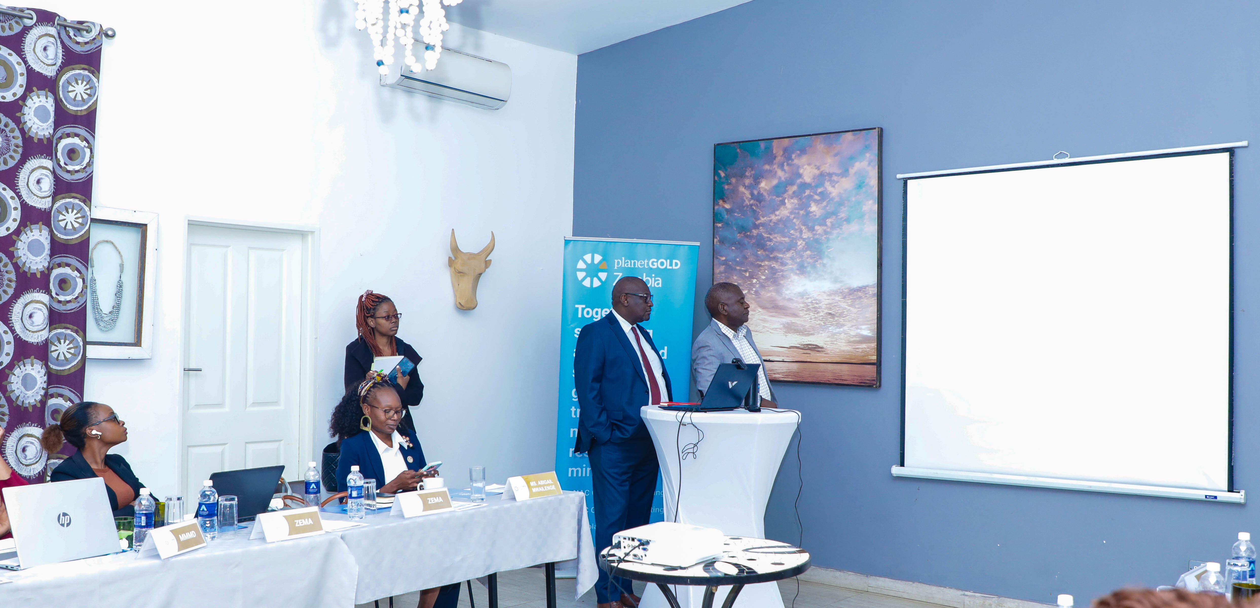 Stakeholders assess financial institutions that responded to the Expression of Interest for the ASGM Revolving Fund.