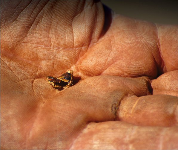 A small gold nugget in a hand palm