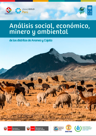 Estudio_Puno