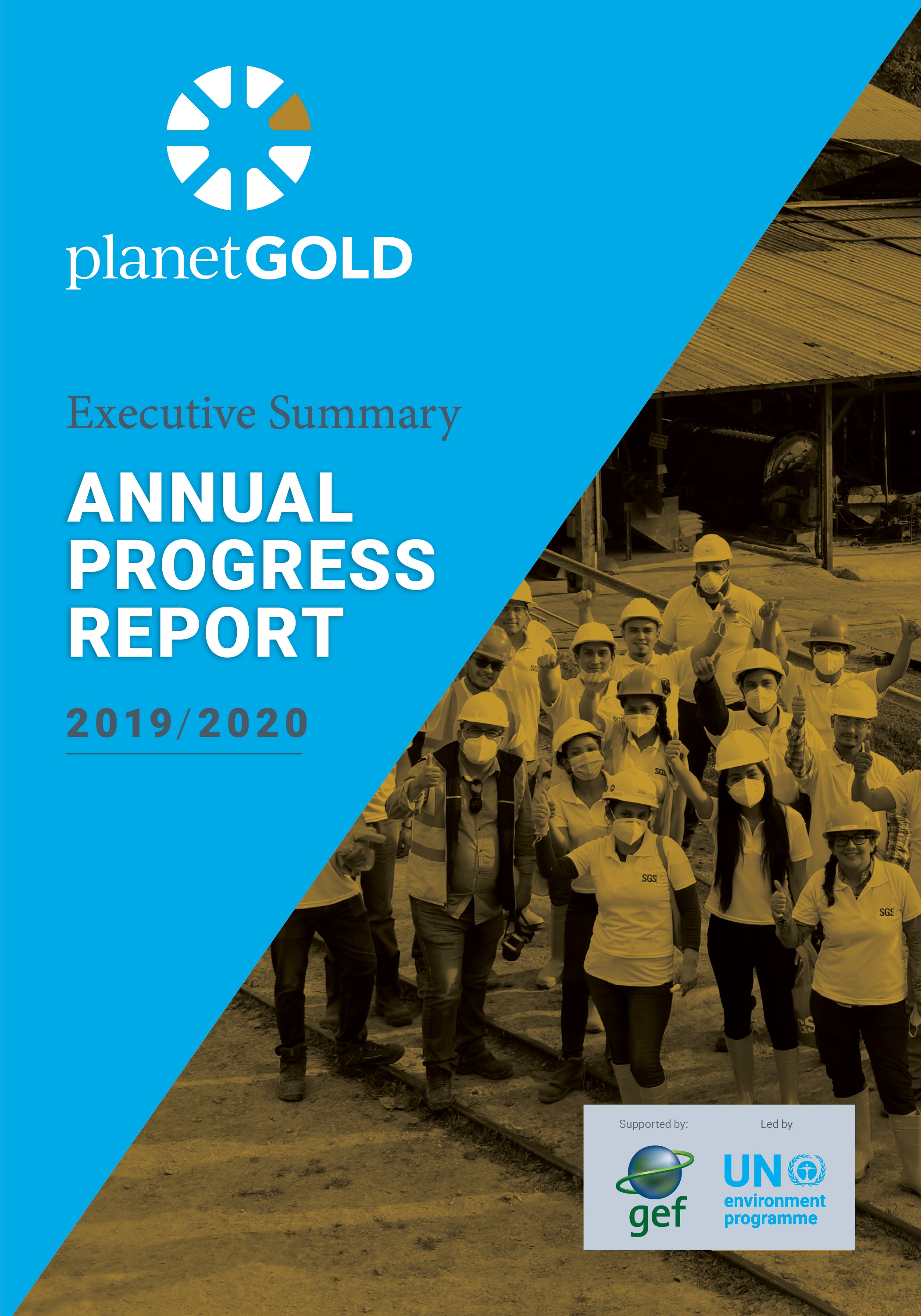 planetGOLD 2019 2020 Annual Report Executive Summary cover image