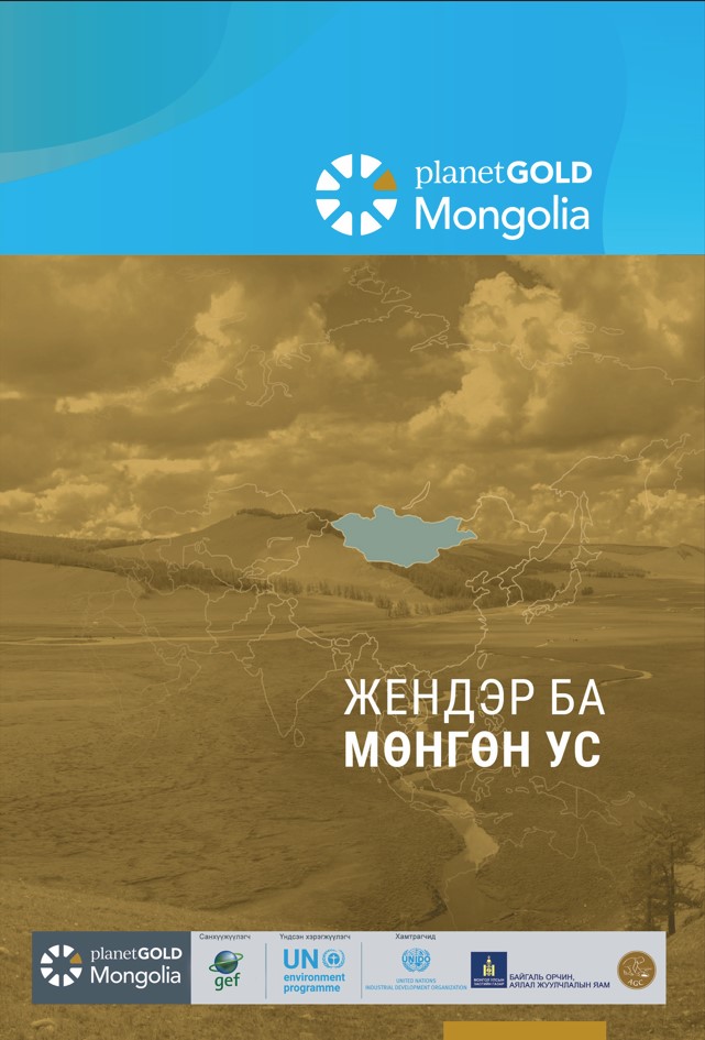 Gender mapping report cover