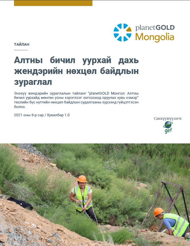 Gender mapping report cover