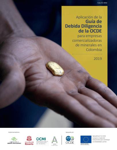 Aplicación de la Guía de la Debida Diligencia de la OCDE