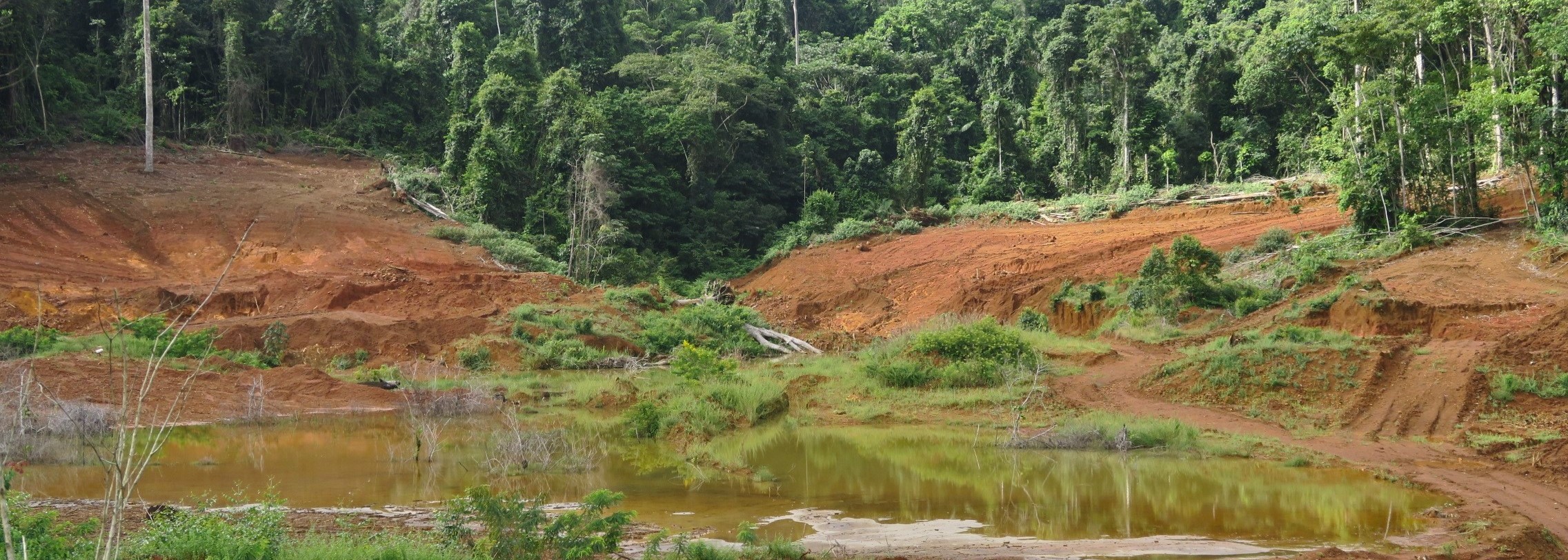 Guyana tailings 