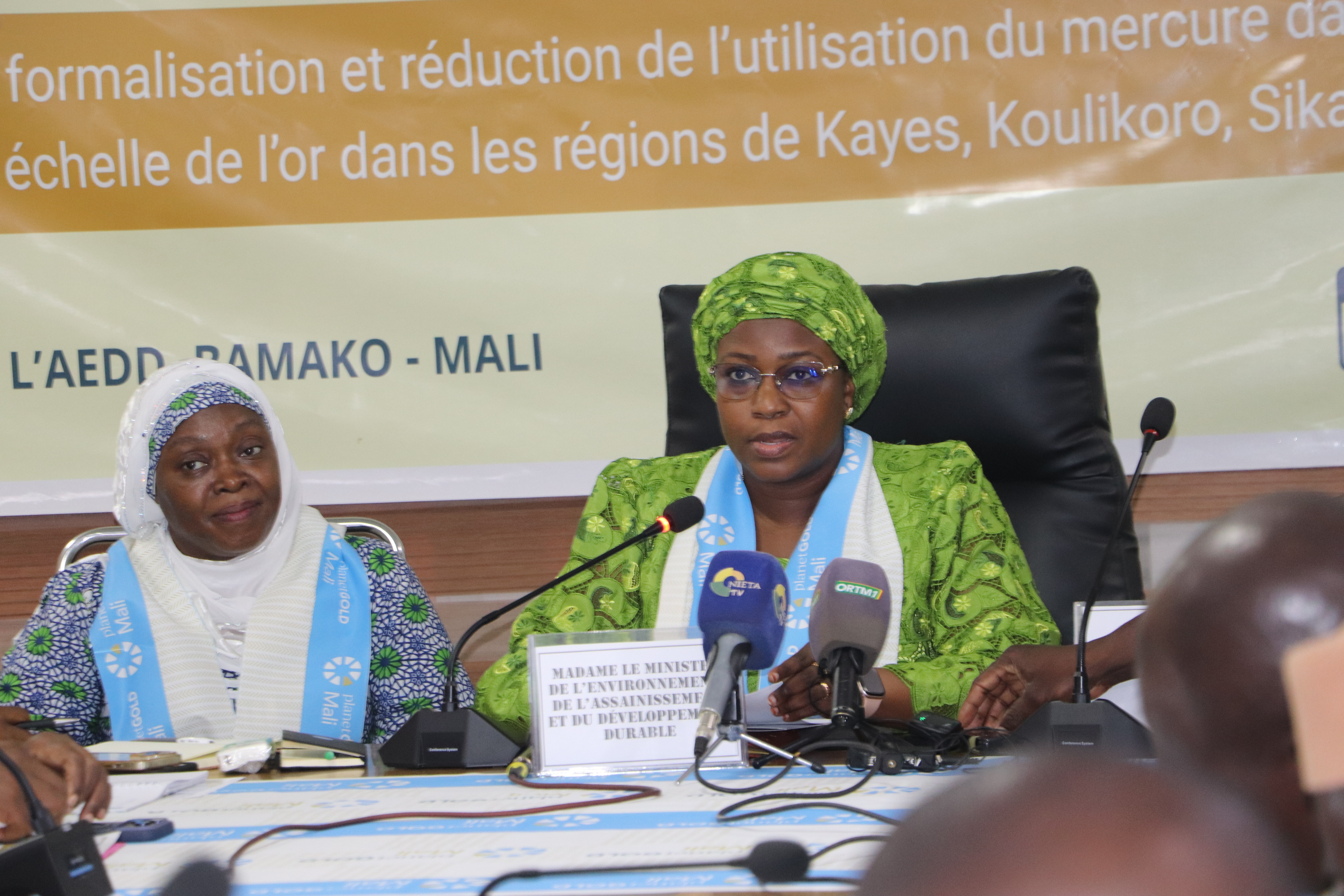 The Minister of Environment, Sanitation and Sustainable Development delivering her remarks during the ceremony