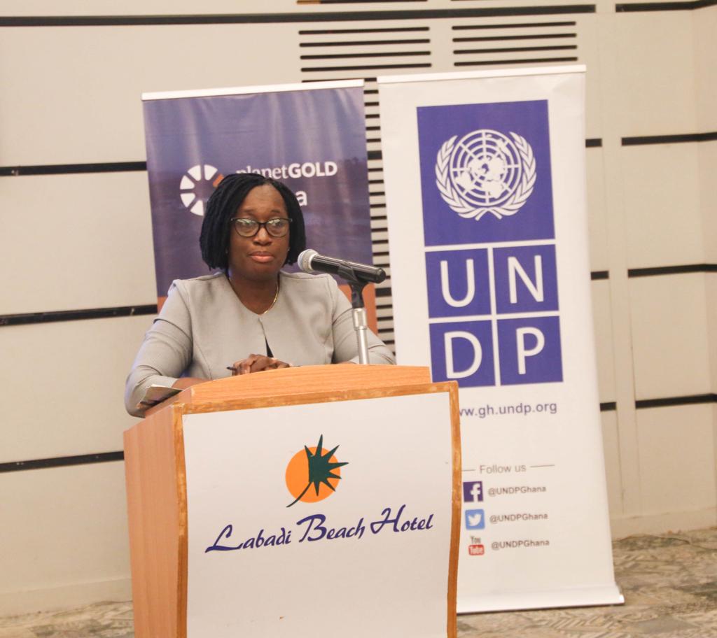 Mrs Esi Nerquaye-Tetteh, Ag. Deputy Executive Director, Technical Services, EPA 