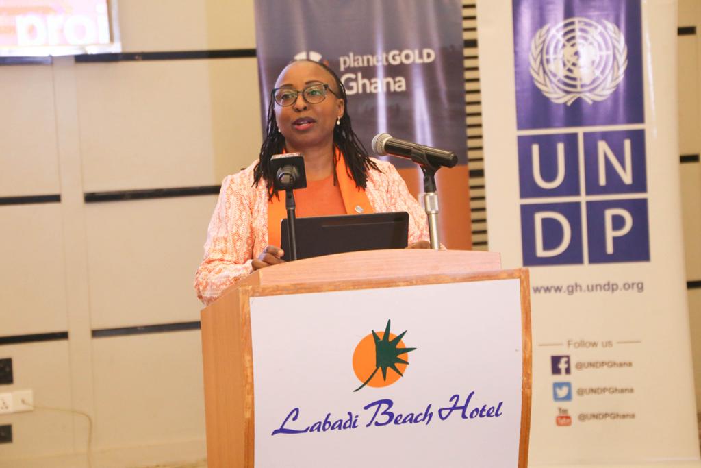 Resident Representative of UNDP, Dr. Angela Lusigi 