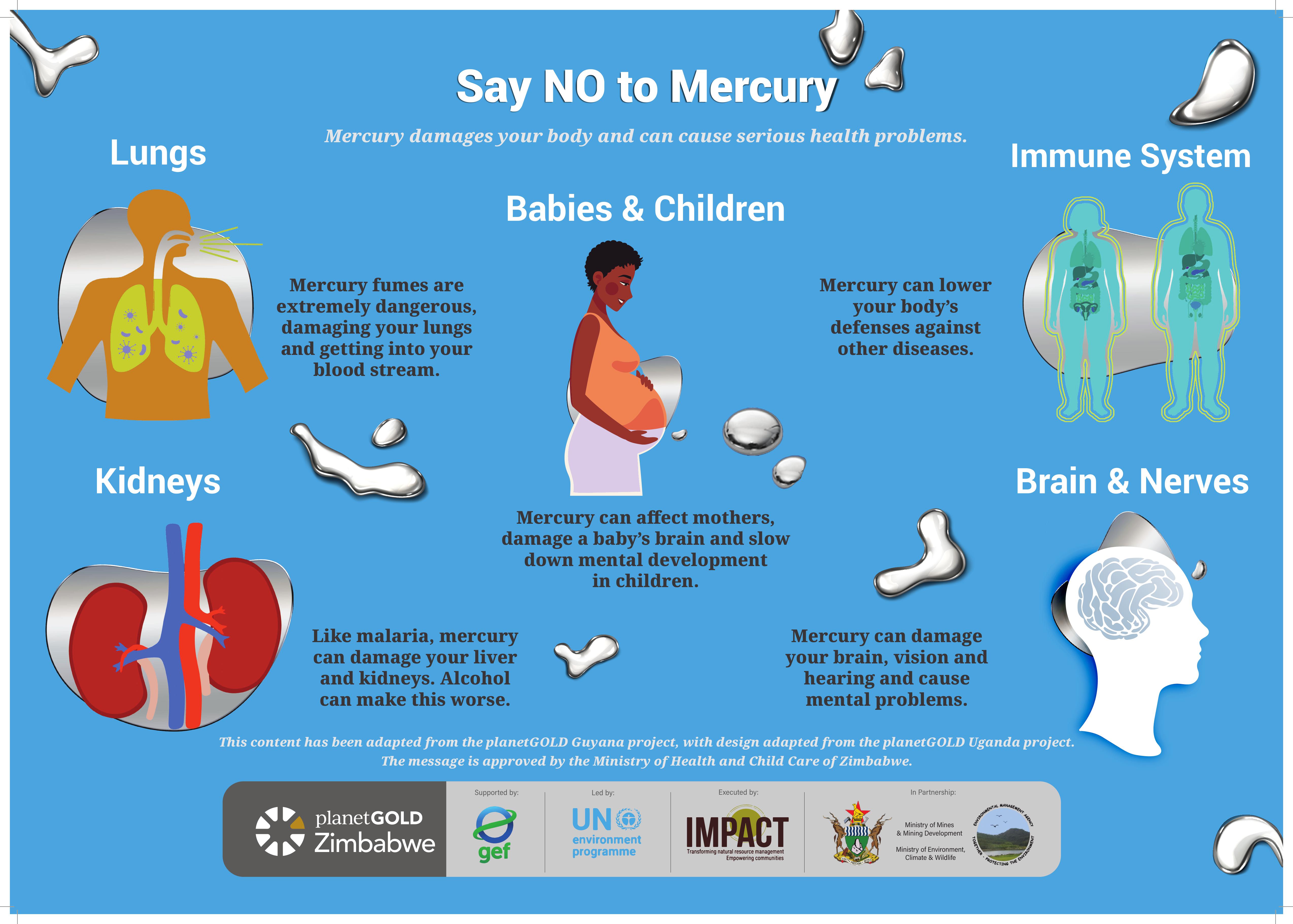 Say No to Mercury