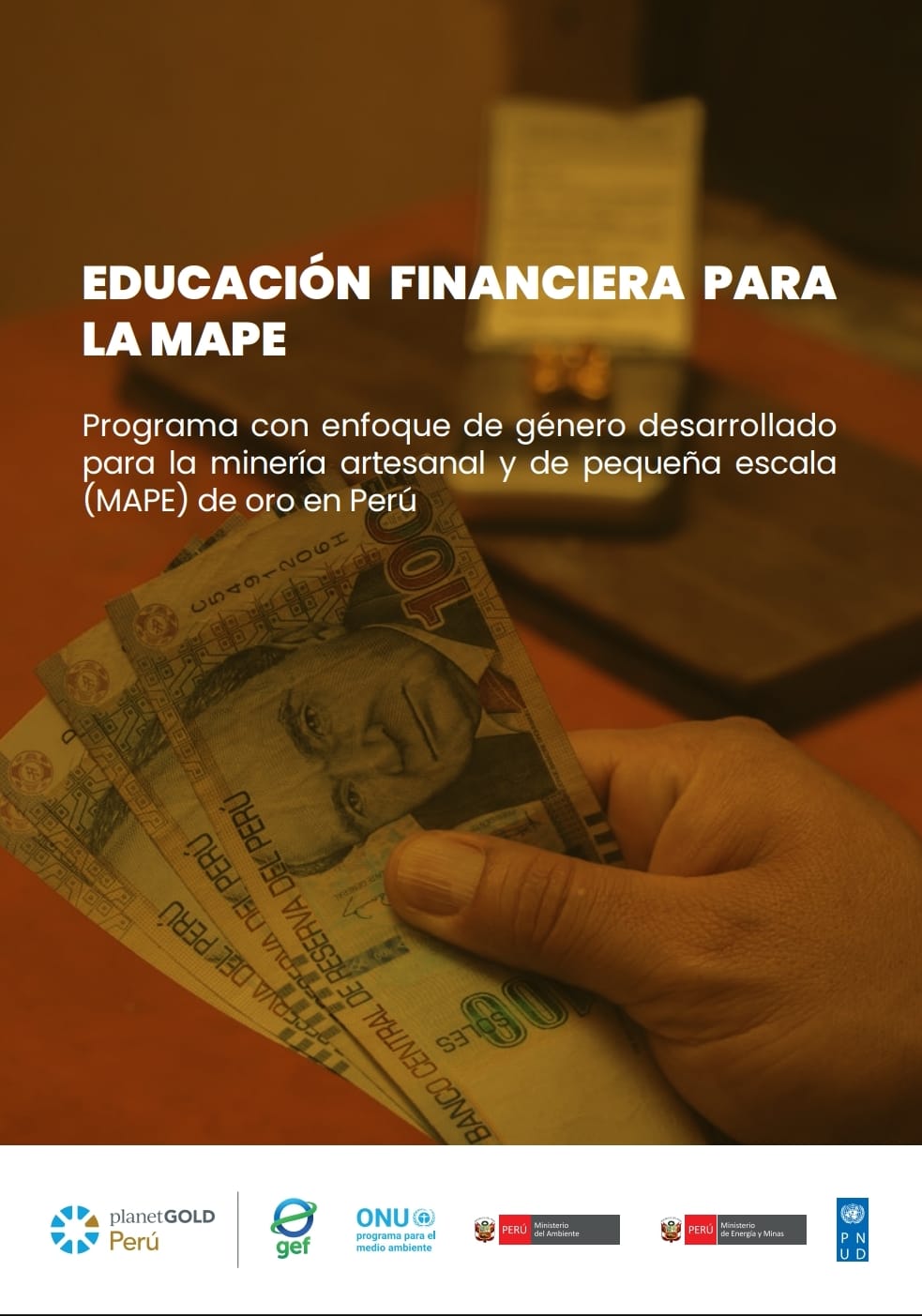 Portada educacion financiera MAPE