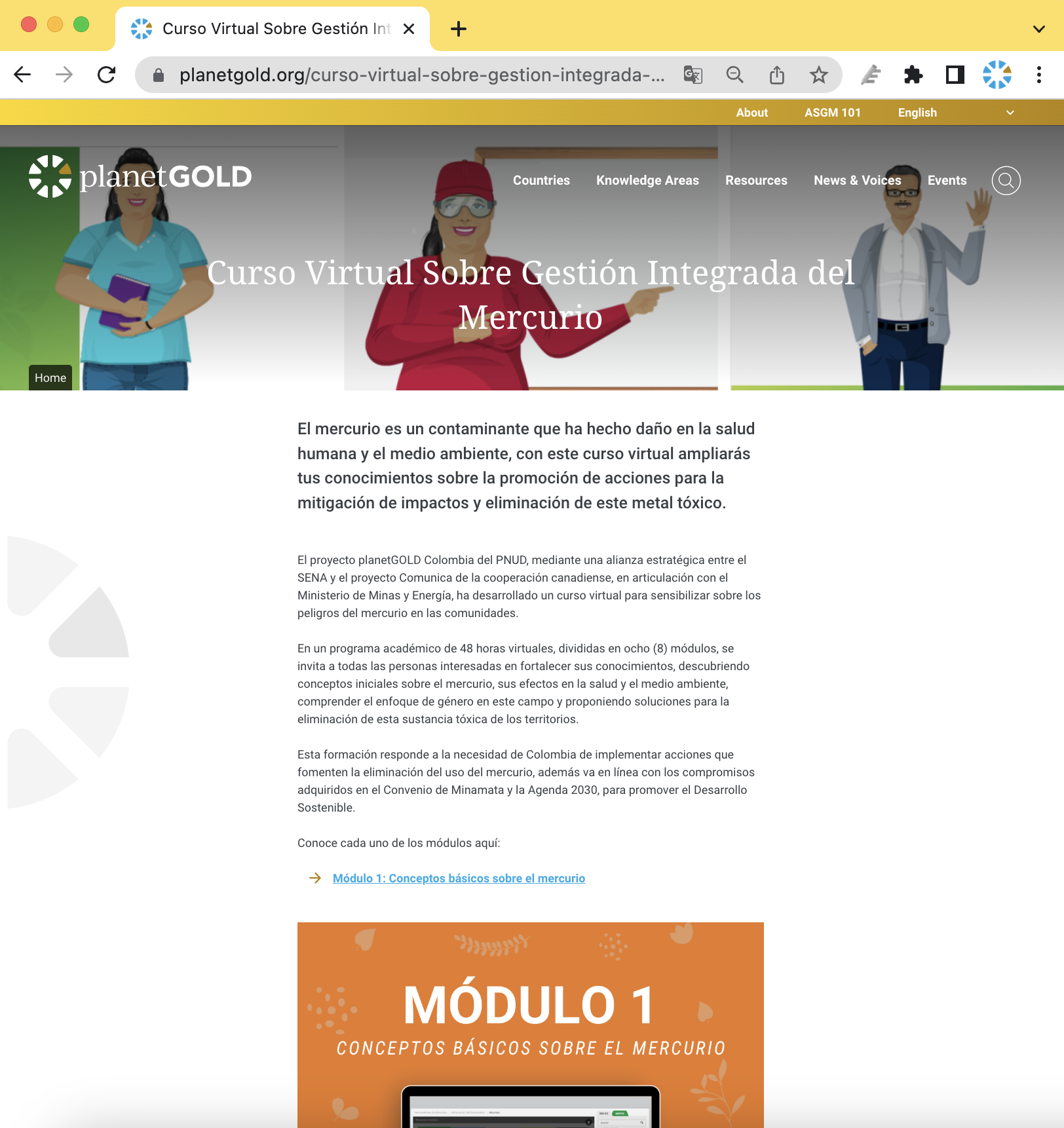 Curso virtual preview image