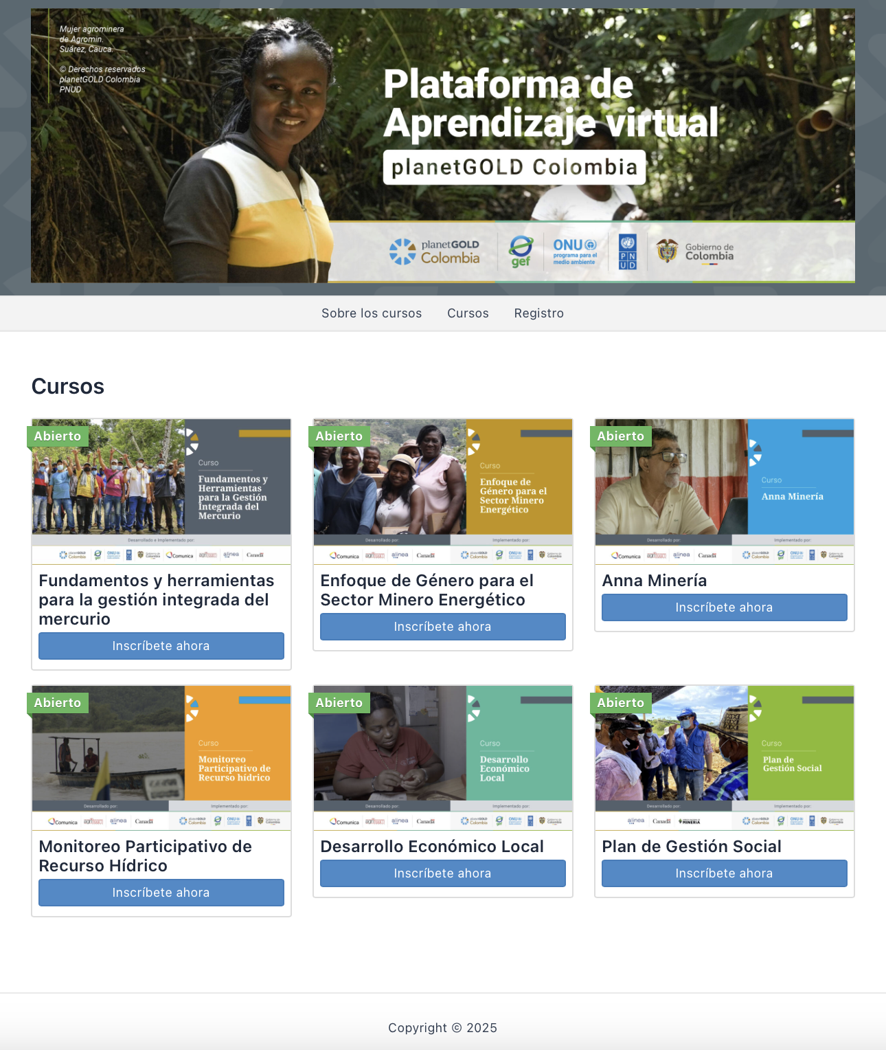 Image of virtual learning webpage