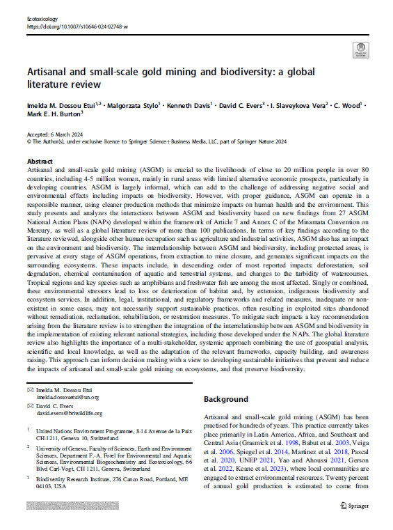 asgm paper screenshot