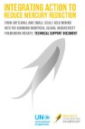 Integrating action to reduce mercury pollution from artisanal and small-scale gold mining into the Kunming-Montréal Global Biodiversity Framework National Biodiversity Strategies and Action Plans: Technical Support Document