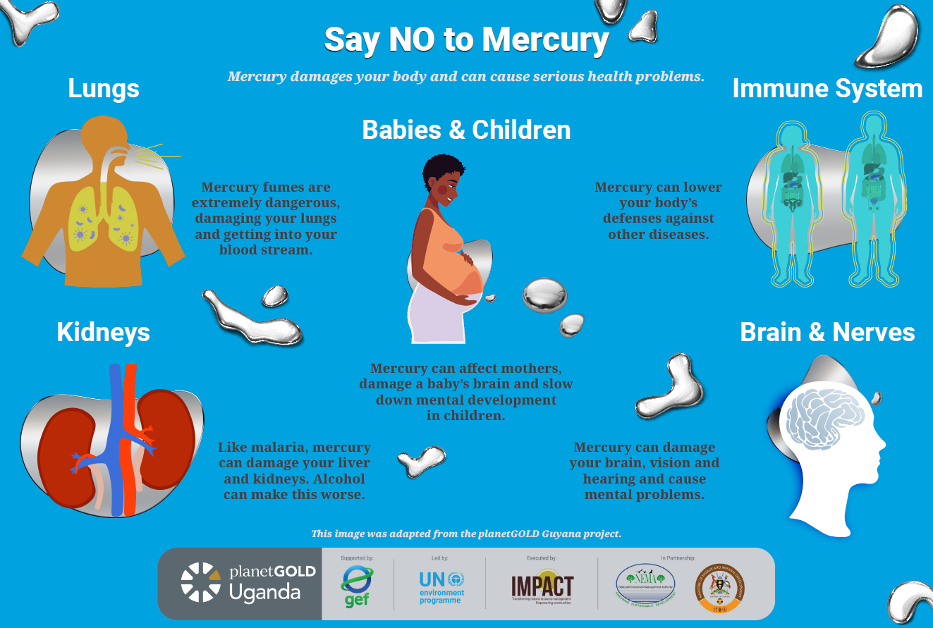Uganda Say No to Mercury Poster