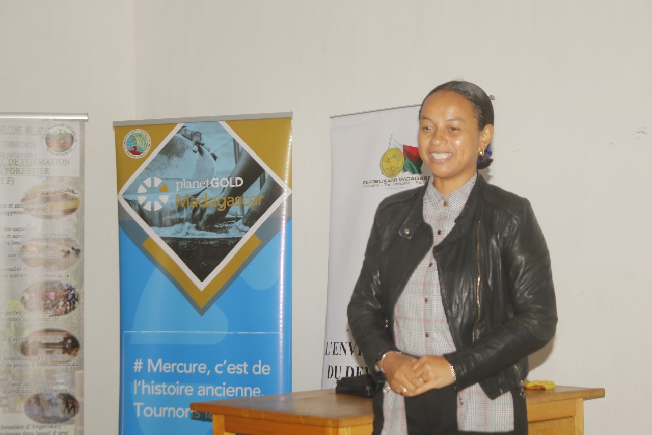 Agence National de l'Or à Madagascar 