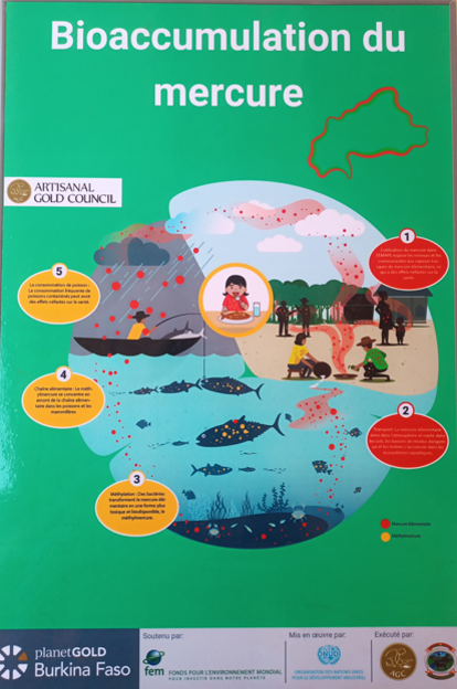 Burkina Faso bioaccumulation poster 