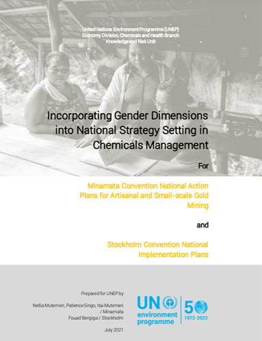 NAP gender guide cover