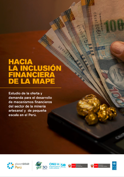 Hacia la inclusión financiera de la MAPE