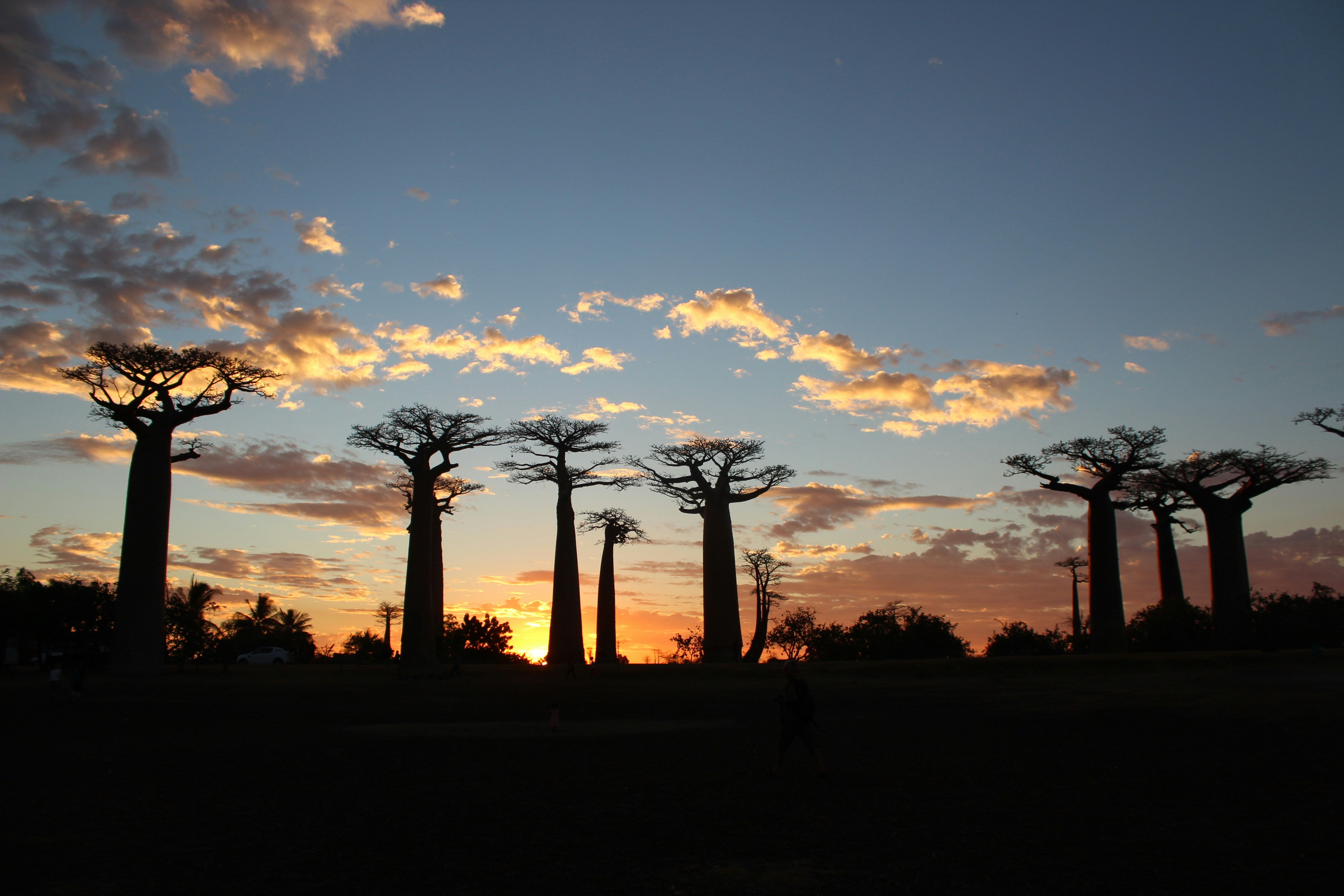 Landscape image