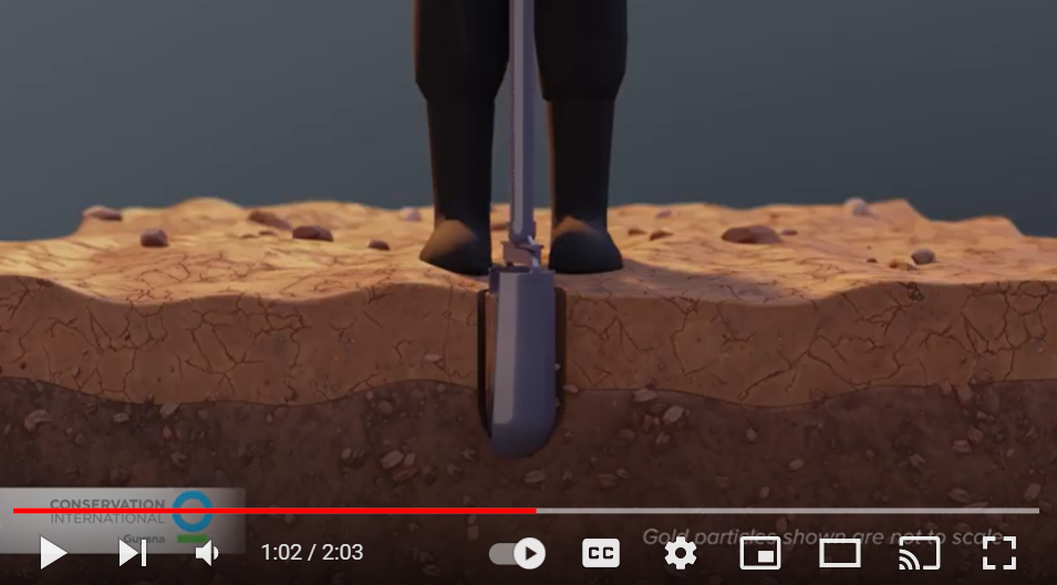 Guyana gold prospecting video