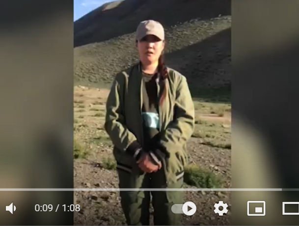 Mongolia field video
