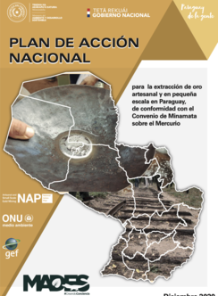 Paraguay NAP
