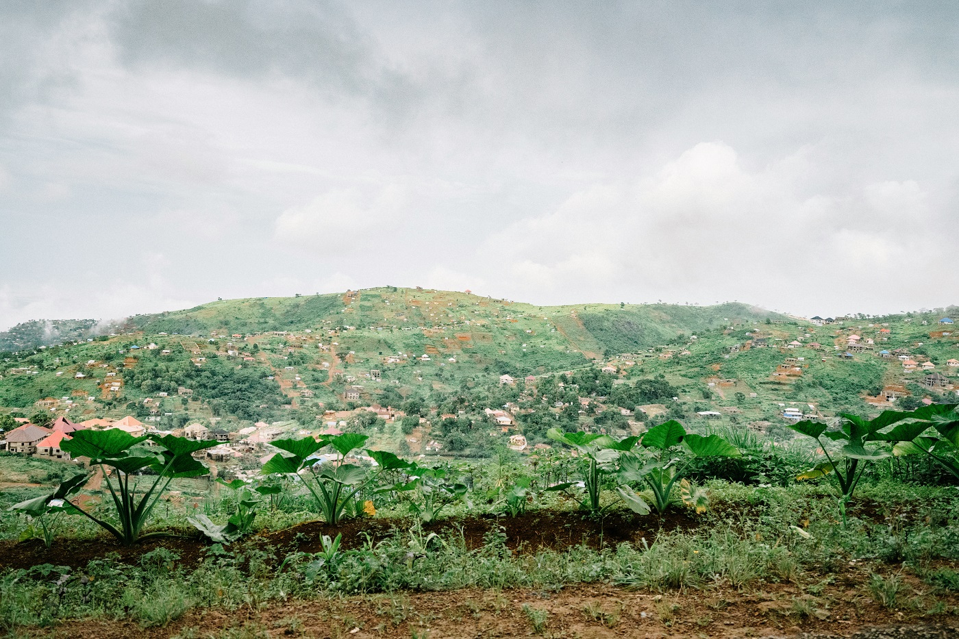 Landscape image from Sierra Leone