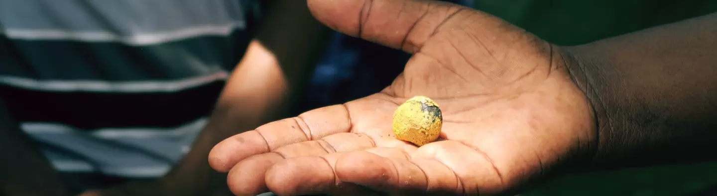 Zim sponge