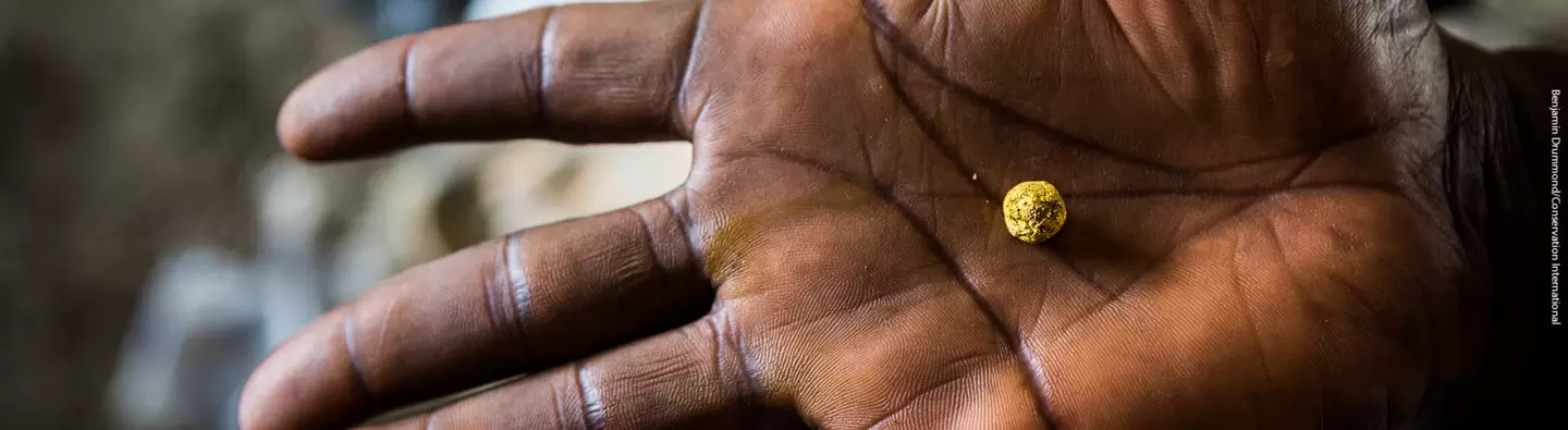 resource library image - hand with gold