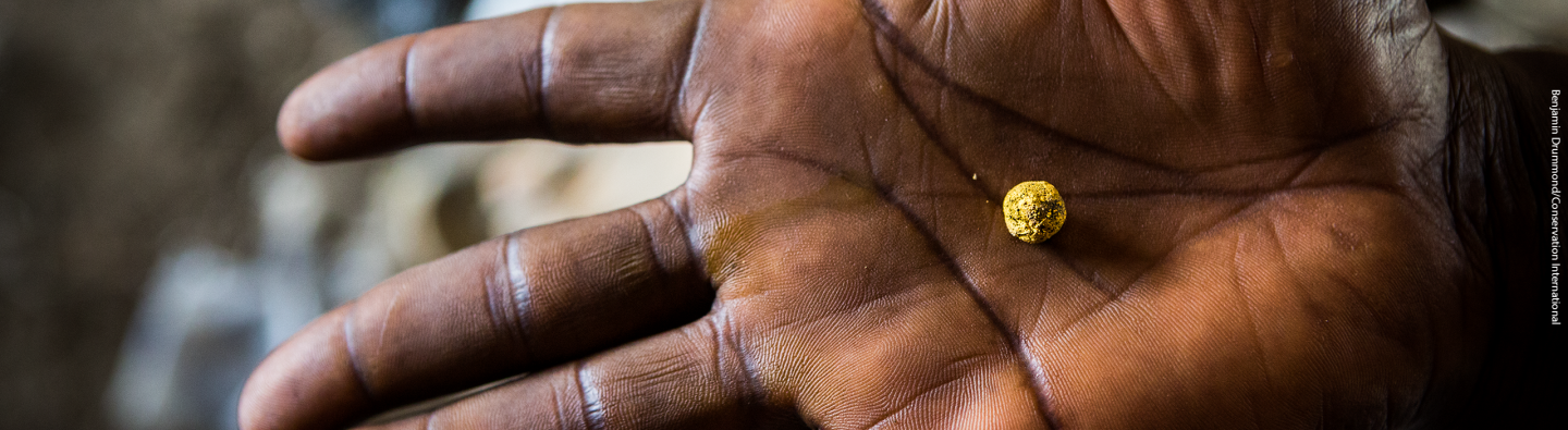 resource library image - hand with gold