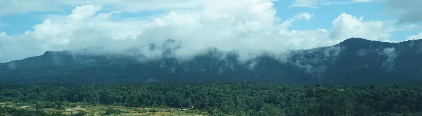 Guyana pg image