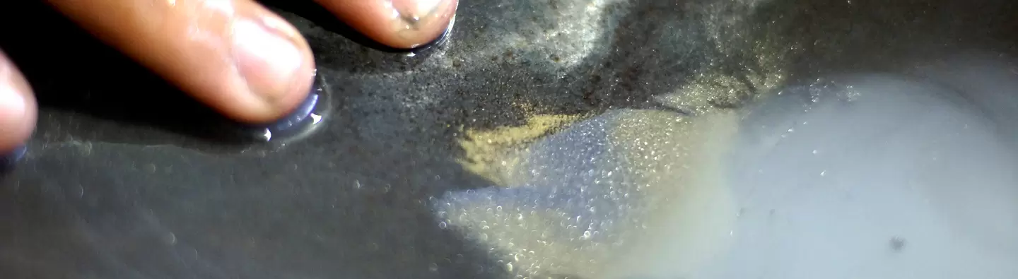 Pan