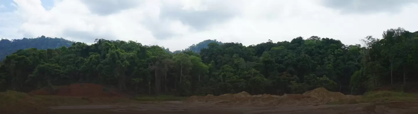 Guyana mining pit