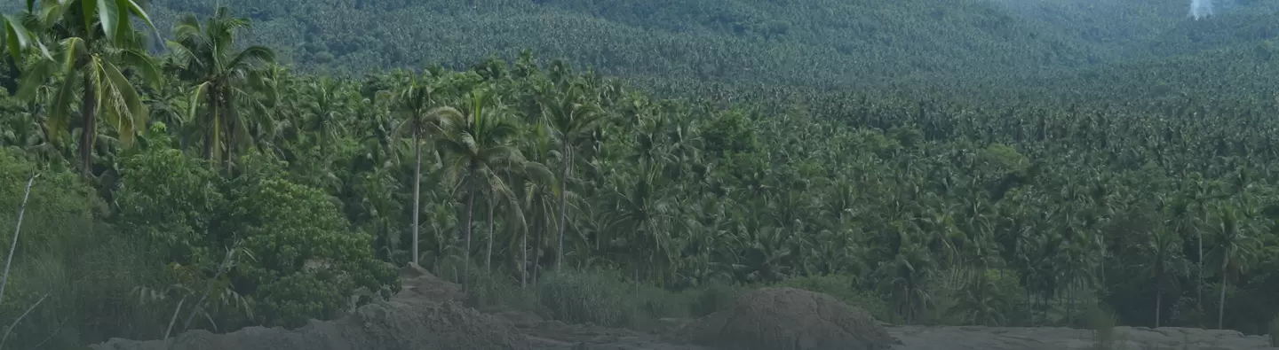 Lanscape image from Buenavista