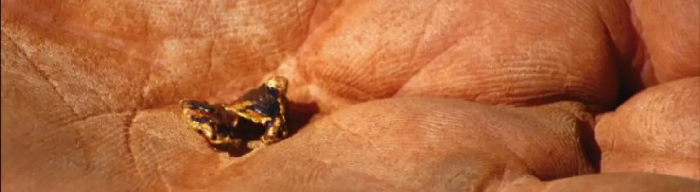 A small gold nugget in a hand palm