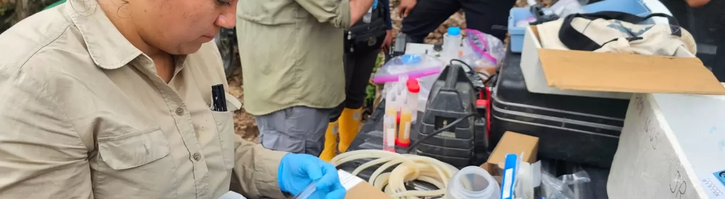 Ecuador camina hacia una minería artesanal y de pequeña escala libre de mercurio