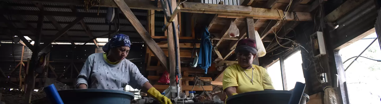 Women at informal sites perform mineral processing which often includes crushing, grinding of ore using a ball mill, gold sluicing, panning, and hand-sorting ore from the mining operation's wastes. 
