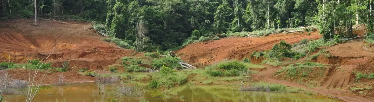 Guyana tailings 