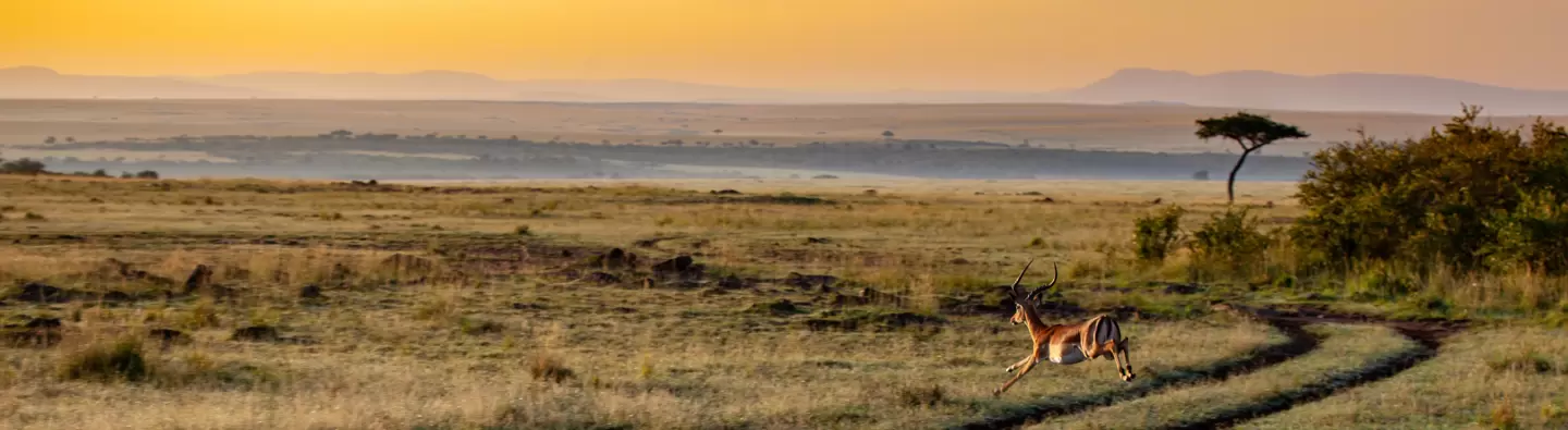 Kenya landscape