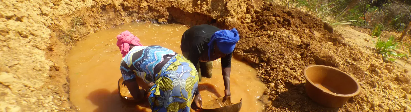 guinea 6