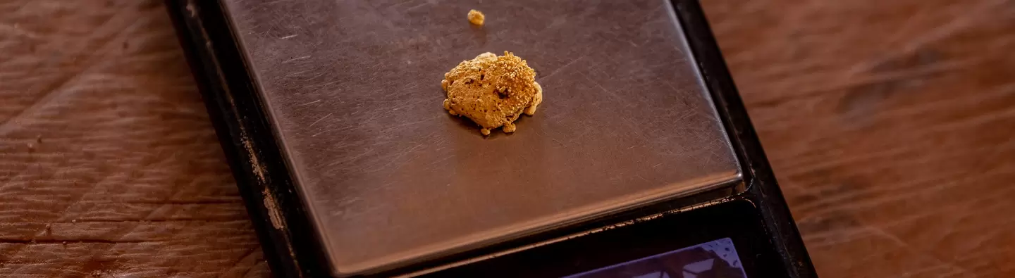 Gold is weighed on a scale